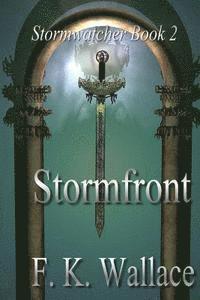 bokomslag Stormfront: Stormwatcher Book 2