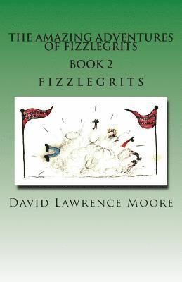 bokomslag The Amazing Adventure of Fizzlegrits Book 2 Fizzlegrits