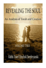 bokomslag Revealing the Soul: An Analysis of Torah and Creation
