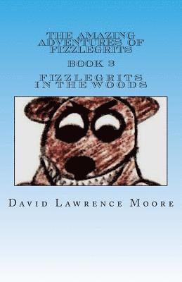 bokomslag The Amazing Adventures of Fizzlegrits Book 3 Fizzlegrits in the Woods