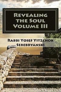 bokomslag Revealing the Soul: An Analysis of Torah and Creation - Volume Three