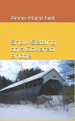 Snow Settling on a Covered Bridge 1