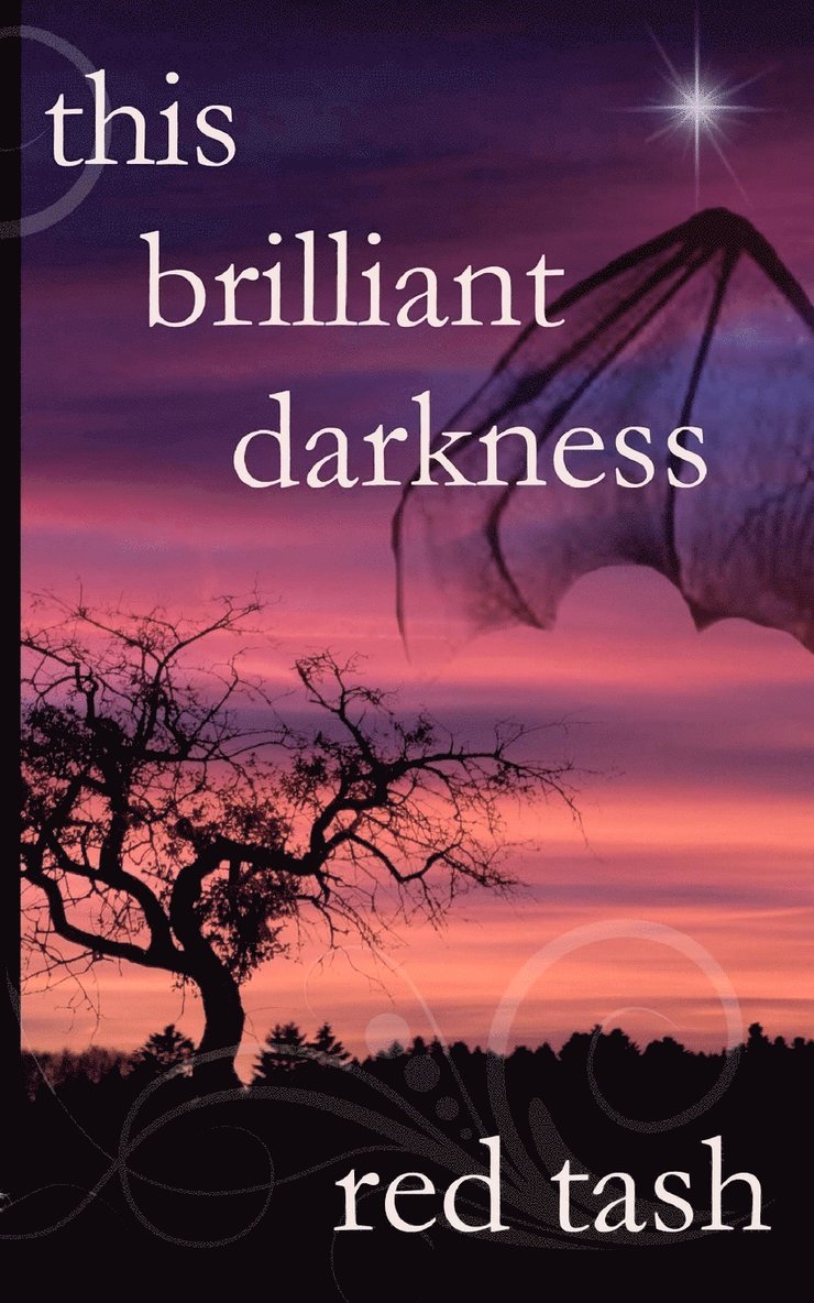 This Brilliant Darkness 1