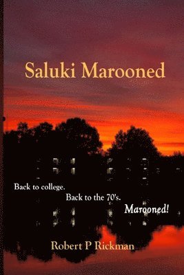 Saluki Marooned 1