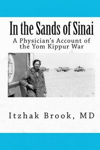 bokomslag In the Sands of Sinai
