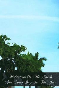 Pere Medaille S. J., William H. Eyre S. J. - Meditations On The Gospels For Every Day In The Year, Häftad