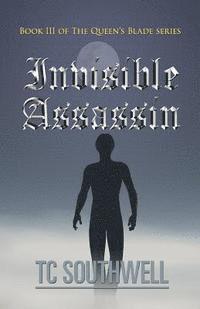 bokomslag Invisible Assassin: Book III of the Queen's Blade Series