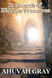 bokomslag In Search of Hidden Treasures