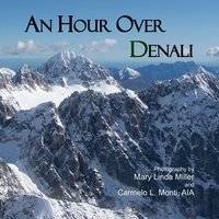 bokomslag An Hour Over Denali