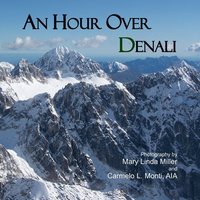 bokomslag Hour Over Denali