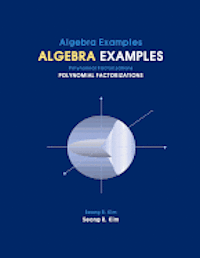 Algebra Examples Polynomial Factorizations 1