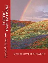 bokomslag Undiscovered Psalms