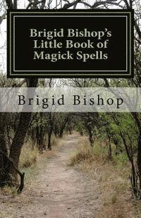 bokomslag Brigid Bishop's Little Book of Magick Spells: 21st Century Magick