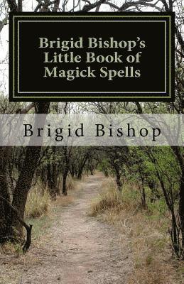 bokomslag Brigid Bishop's Little Book of Magick Spells: 21st Century Magick