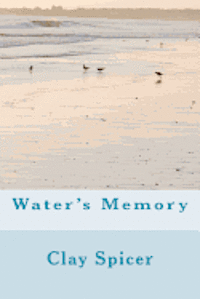 bokomslag Water's Memory