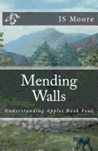 bokomslag Mending Walls