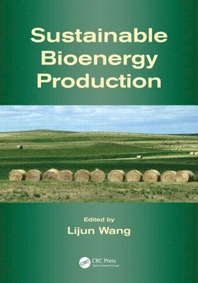 bokomslag Sustainable Bioenergy Production