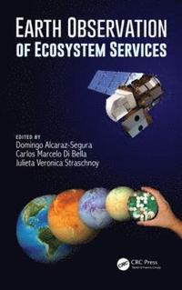 bokomslag Earth Observation of Ecosystem Services