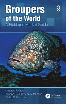 Matthew T. Craig, Yvonne J. Sadovy de Mitcheson, Phillip C. Heemstra - Groupers of the World, Inbunden