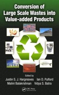 bokomslag Conversion of Large Scale Wastes into Value-added Products