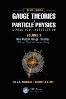 bokomslag Gauge Theories in Particle Physics: A Practical Introduction, Volume 2: Non-Abelian Gauge Theories