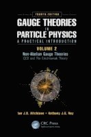 bokomslag Gauge Theories in Particle Physics: A Practical Introduction, Volume 2: Non-Abelian Gauge Theories