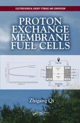 bokomslag Proton Exchange Membrane Fuel Cells