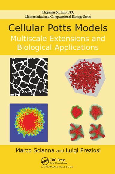 Marco Scianna, Luigi Preziosi - Cellular Potts Models, Inbunden