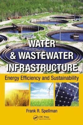 bokomslag Water & Wastewater Infrastructure