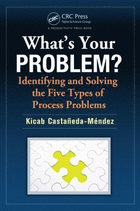 bokomslag What's Your Problem? Identifying and Solving the Five Types of Process Problems