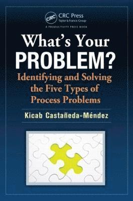 Kicab Castaneda-Mendez, USA) Castaneda-Mendez, Kicab (Performance Management Consultant, Chapel Hill, North Carolina - What's Your Problem? Identifying and Solving the Five Types of Process Problems, Häftad