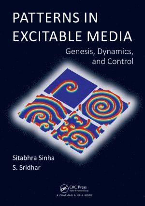 Sitabhra Sinha, S. Sridhar - Patterns in Excitable Media, Inbunden
