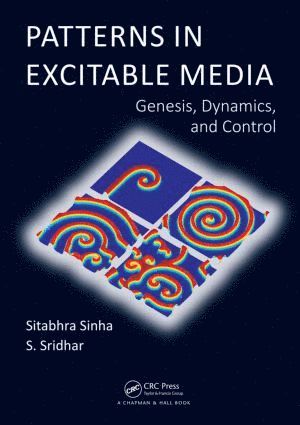 Patterns in Excitable Media 1