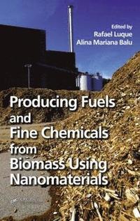 bokomslag Producing Fuels and Fine Chemicals from Biomass Using Nanomaterials