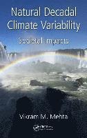 bokomslag Natural Decadal Climate Variability