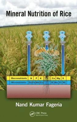 bokomslag Mineral Nutrition of Rice