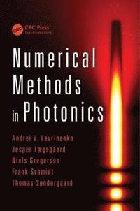 bokomslag Numerical Methods in Photonics