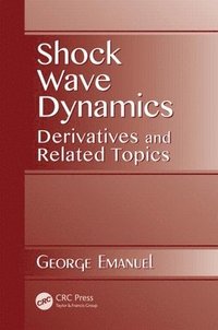 bokomslag Shock Wave Dynamics