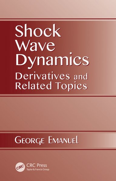 bokomslag Shock Wave Dynamics