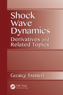 Shock Wave Dynamics 1