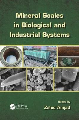 bokomslag Mineral Scales in Biological and Industrial Systems