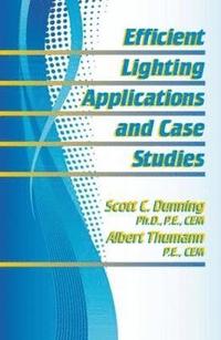 bokomslag Efficient Lighting Applications and Case Studies