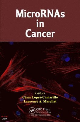 MicroRNAs in Cancer 1