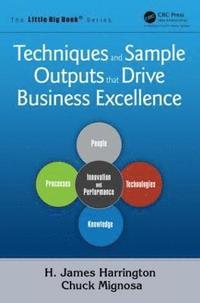 bokomslag Techniques and Sample Outputs that Drive Business Excellence