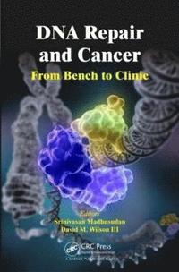 bokomslag DNA Repair and Cancer