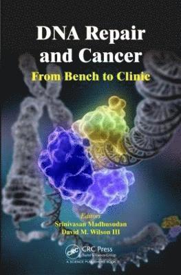 DNA Repair and Cancer 1