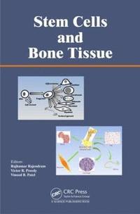 bokomslag Stem Cells and Bone Tissue