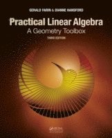 bokomslag Practical Linear Algebra