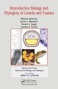 bokomslag Reproductive Biology and Phylogeny of Lizards and Tuatara