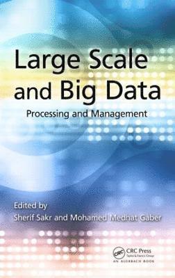 bokomslag Large Scale and Big Data